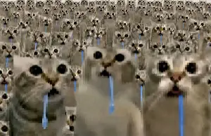 drooling cat