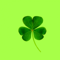 LUCKY